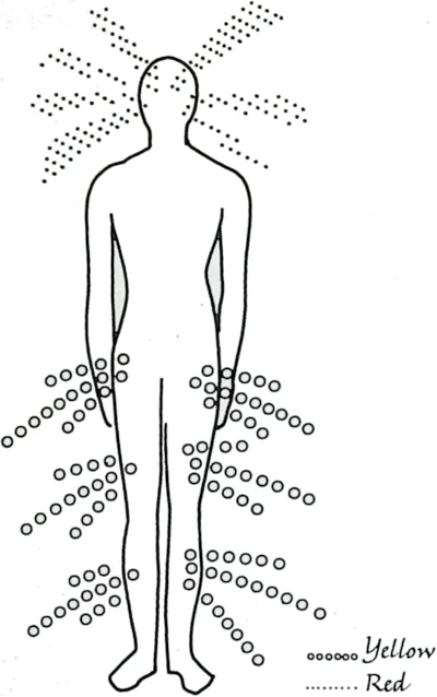 physiognomy of man