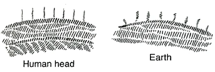 Human head versus the Earth's crust