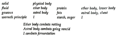 chart of human bodies